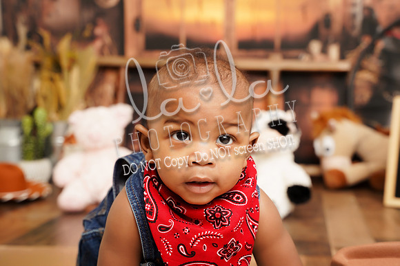DSC08029