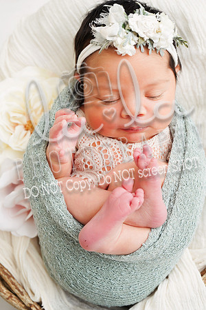 DSC07699