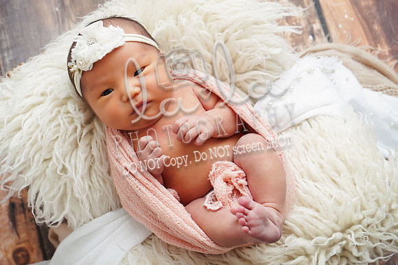 DSC09344(edit)