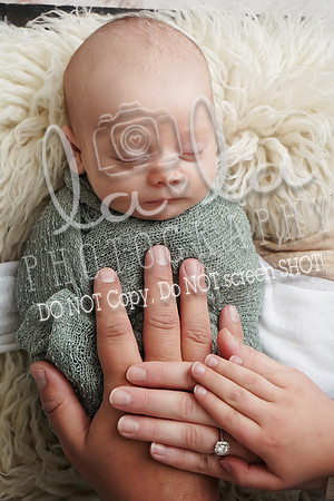 DSC01243 EDITjpg