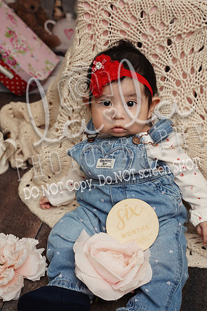 DSC03413