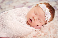 DSC05050