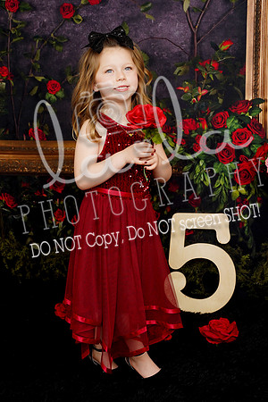 DSC03537