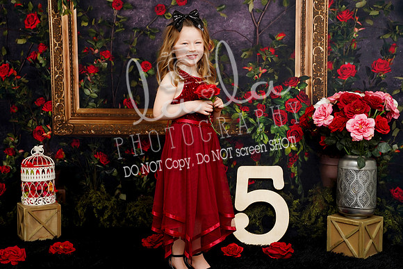 DSC03534