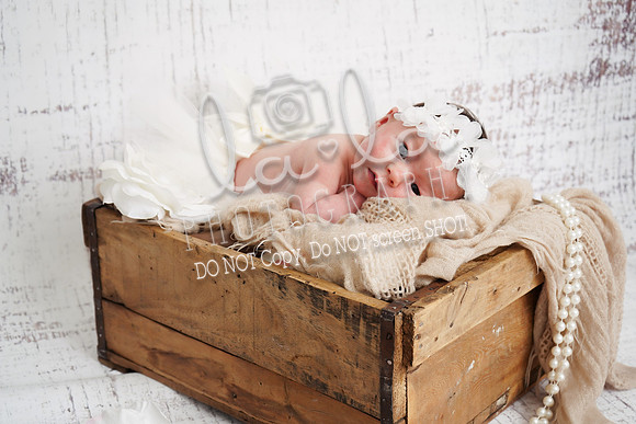 DSC06250