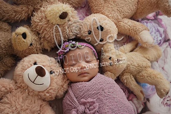 DSC07784