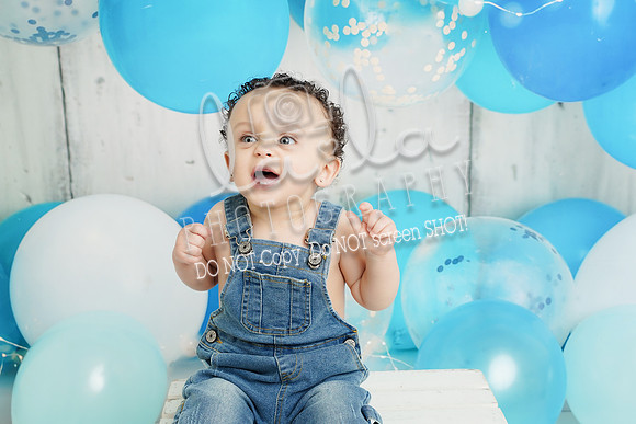 DSC02463
