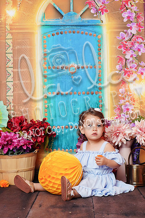 DSC00602