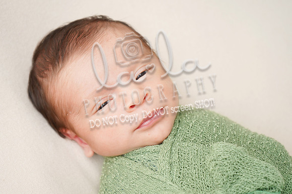 DSC01389