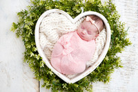 DSC07146
