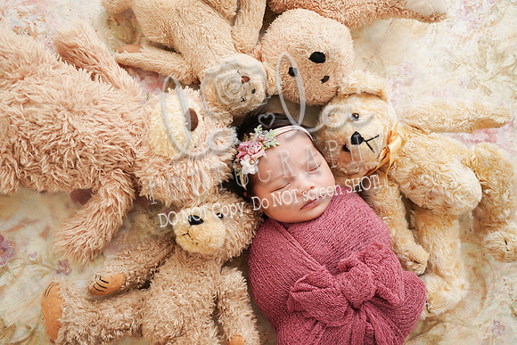 DSC05376