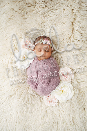 DSC09594EDIT