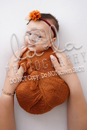 DSC07638