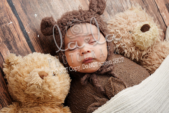 DSC03858