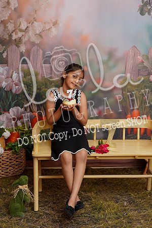 DSC07355
