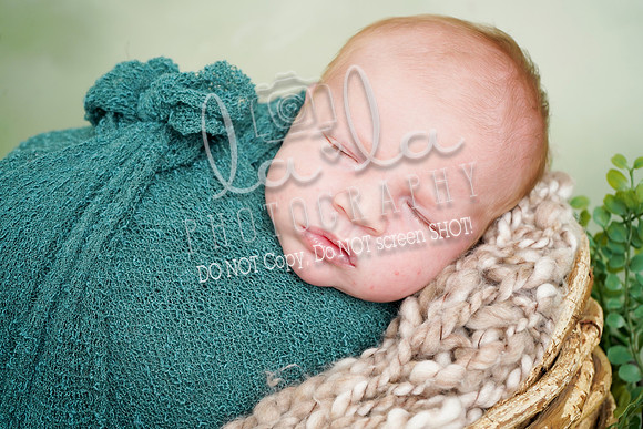 DSC04589