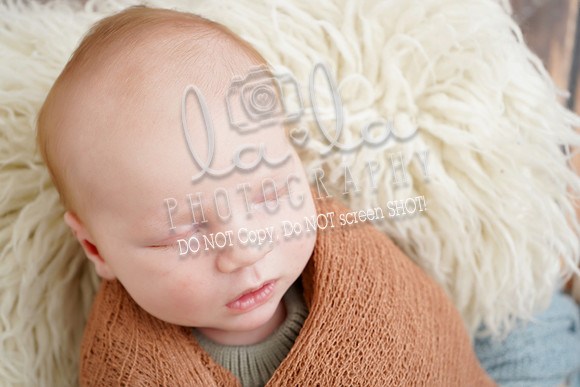 DSC04654