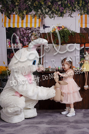 DSC03344