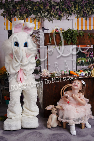 DSC03335