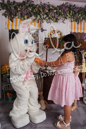 DSC03741