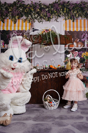 DSC03370