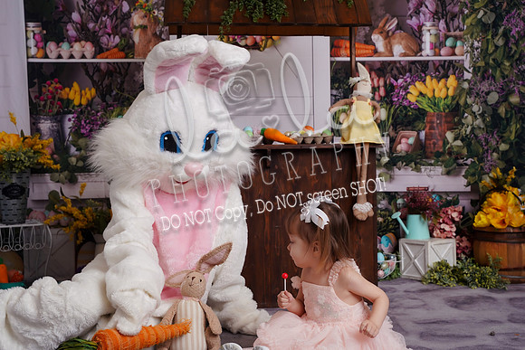 DSC03393