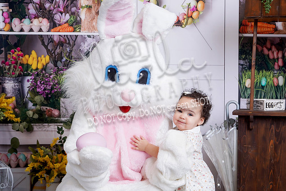 DSC02208