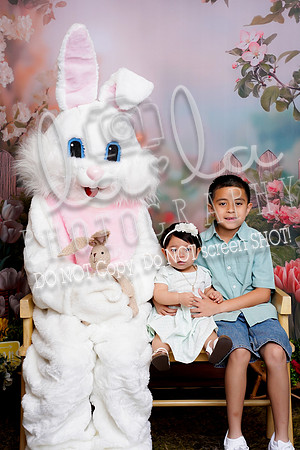 DSC03029
