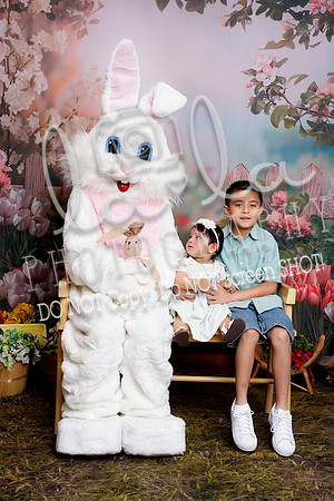 DSC03026