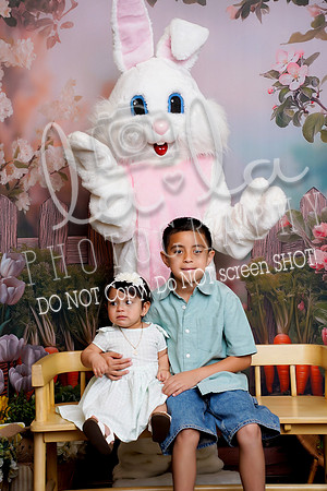 DSC03037