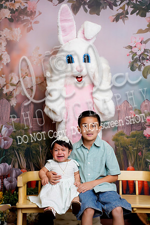 DSC03040