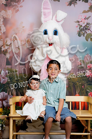 DSC03051