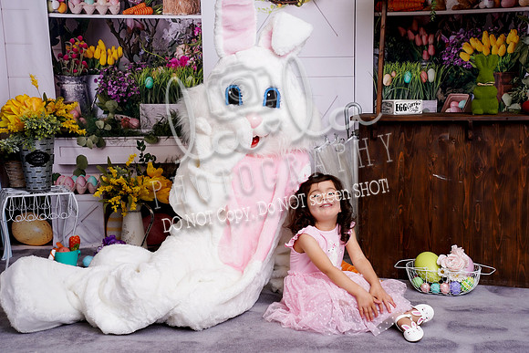 DSC03302