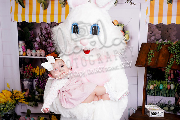 DSC03388