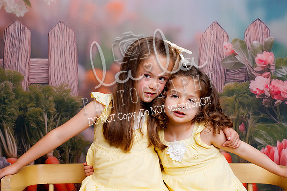 DSC03556
