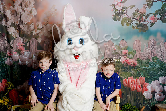 DSC04110
