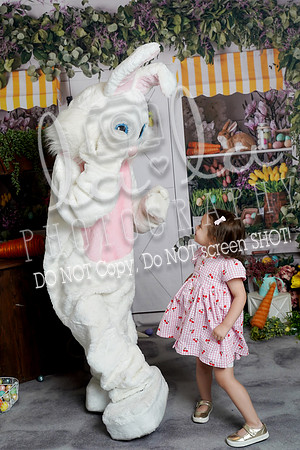 DSC08395
