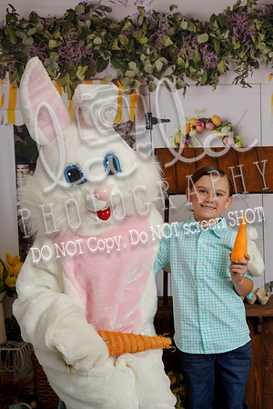DSC00506