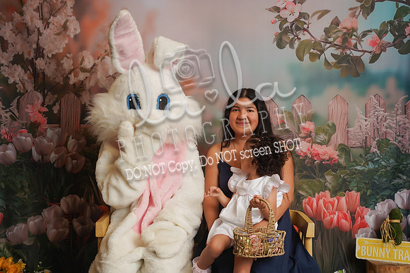 DSC00602