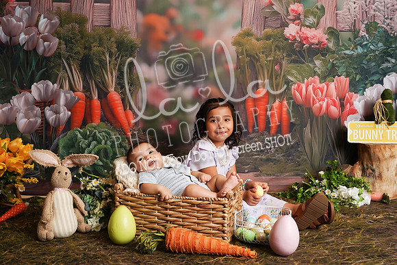 DSC00249