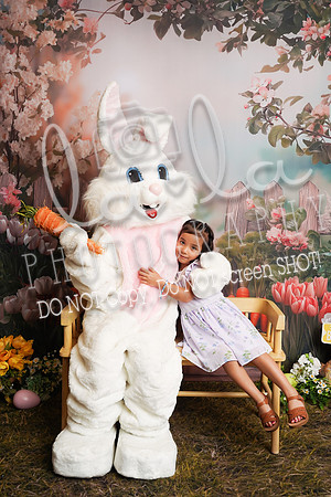 DSC00295
