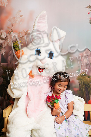 DSC00404