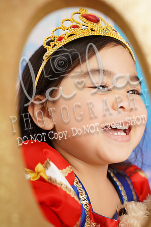 DSC04254
