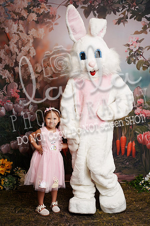 DSC08367