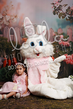 DSC08378