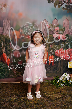 DSC08401