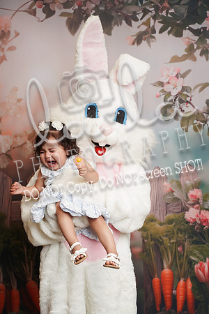 DSC08790