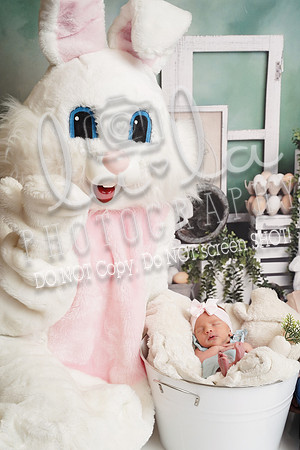 DSC09098