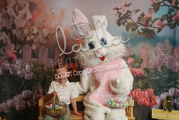 DSC01067