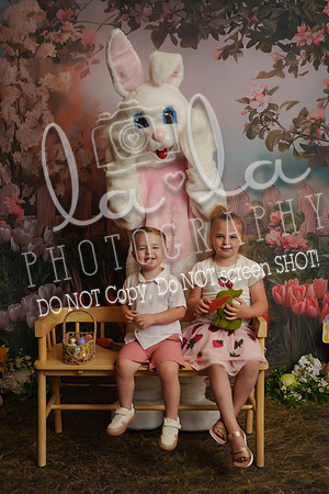 DSC00779